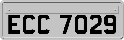 ECC7029