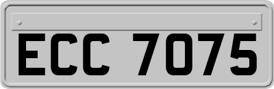 ECC7075