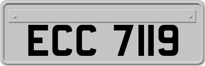 ECC7119