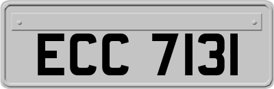 ECC7131