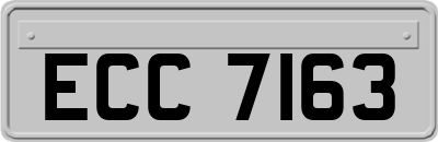 ECC7163