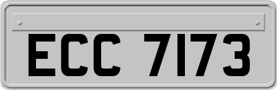 ECC7173