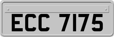 ECC7175
