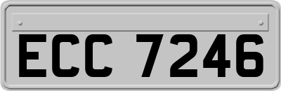 ECC7246