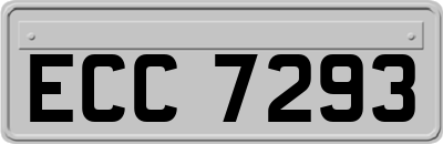 ECC7293