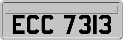 ECC7313