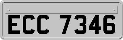 ECC7346
