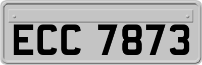 ECC7873