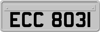 ECC8031