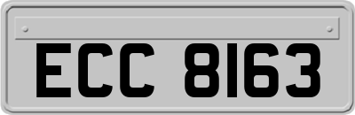 ECC8163