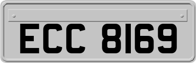 ECC8169