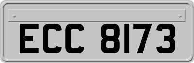 ECC8173