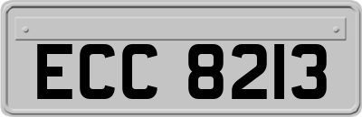 ECC8213