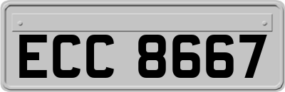 ECC8667