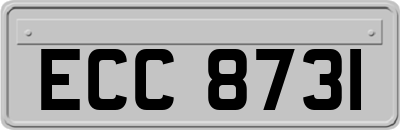 ECC8731