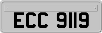 ECC9119
