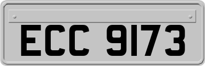 ECC9173