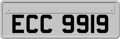 ECC9919