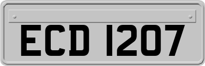 ECD1207