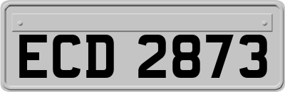 ECD2873