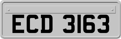 ECD3163