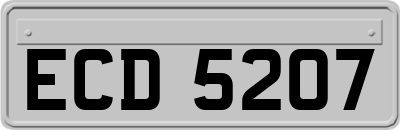 ECD5207