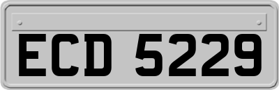 ECD5229
