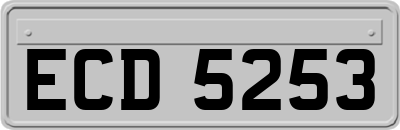 ECD5253