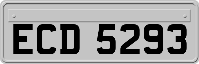 ECD5293