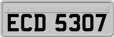 ECD5307