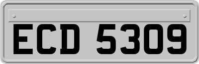 ECD5309