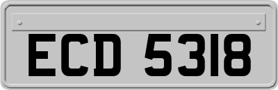 ECD5318