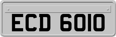 ECD6010