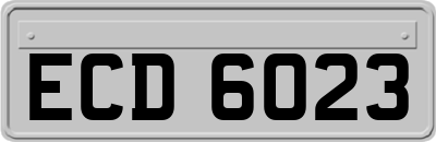 ECD6023