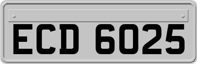 ECD6025