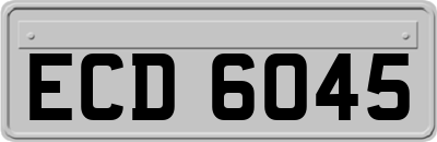 ECD6045