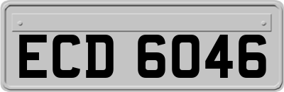 ECD6046