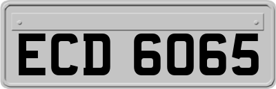ECD6065