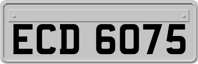ECD6075