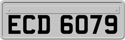 ECD6079