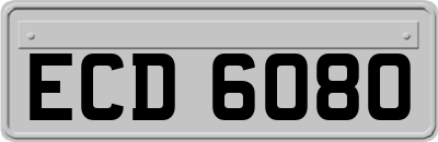ECD6080