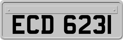 ECD6231