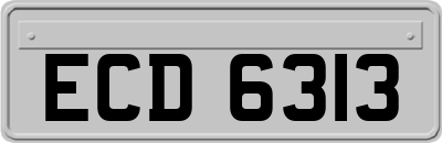 ECD6313