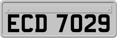 ECD7029