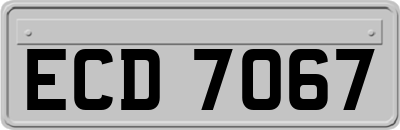 ECD7067