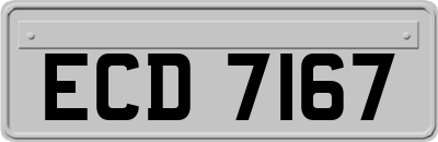 ECD7167