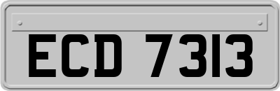 ECD7313