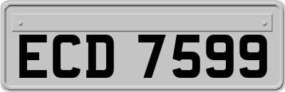 ECD7599