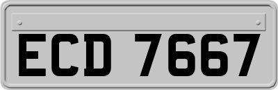 ECD7667