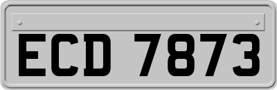 ECD7873